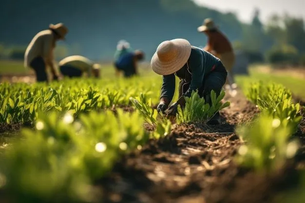 Agricultural activities covered under the license