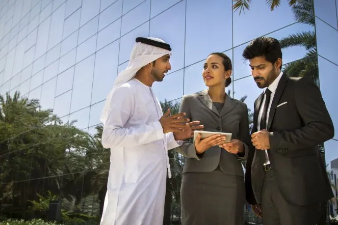 License categories and business activities